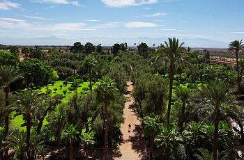 Сад отеля «La Mamounia»